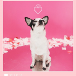 crush_suran_1509668661_suran