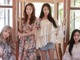 Banana Culture lanza un comunicado oficial en respuesta a los rumores de que T-ARA recibió autos de lujo como regalo