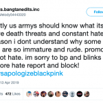 armys blinks